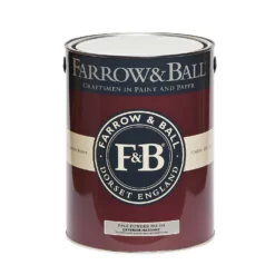 Farrow & Ball Exterior Masonry Paint Pale Powder - 5L -Farrow & Ball 12806824 2214951870218348