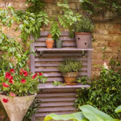 Farrow & Ball Exterior Eggshell Paint Brassica - 2.5L -Farrow & Ball 12817883 1744952648285370