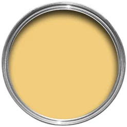 Farrow & Ball Estate Matt Emulsion Paint Citron - Tester 100ml 7 Farrow & Ball Estate Matt Emulsion Paint Citron - Tester 100ml -Farrow & Ball 12819438 1784951388882388